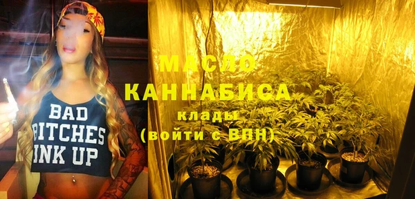 молекула духа Мегион