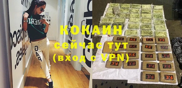 молекула духа Мегион