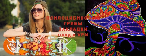 молекула духа Мегион