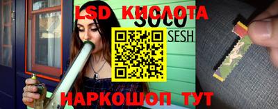 стаф Будённовск