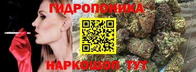 стаф Будённовск