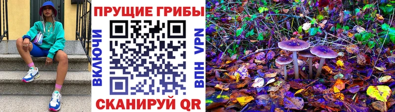 что такое наркотик  Салават  Галлюциногенные грибы прущие грибы 