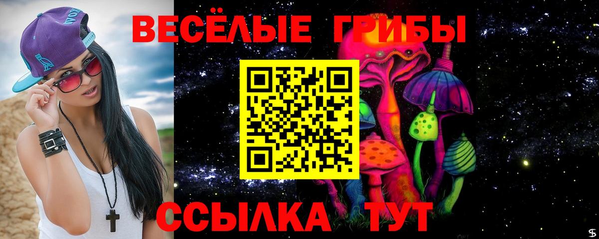 дарнет шоп  Галлюциногенные грибы MAGIC MUSHROOMS  Вход с VPN  Салават 